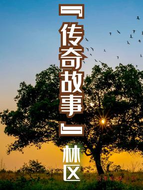 00【微故事】林区寻找故事写作灵感,作文素材分类看故事更多￥6.