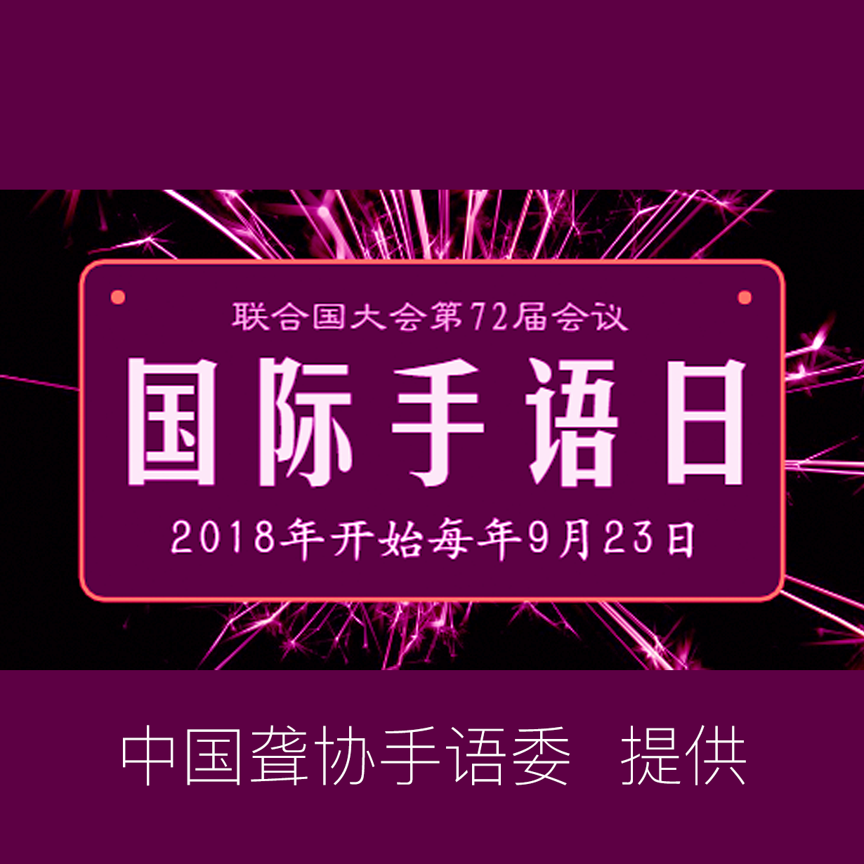 国家通用手语系列